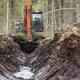 Suometsien hoito on murroksessa. Esimerkiksi Metsähallitus on jo päättänyt lisätä jatkuvapeitteistä kasvatusta turvemailla.