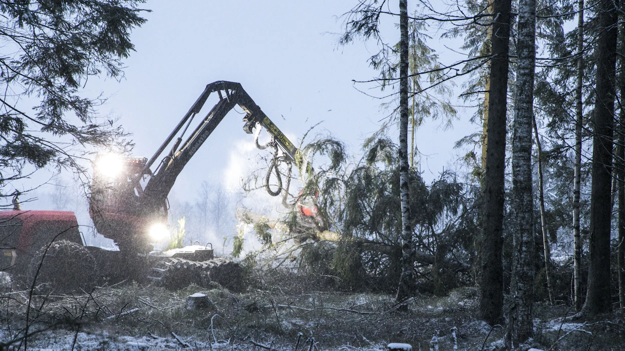 Maan jäätyminen vaikuttaa sen kantavuuteen ja sitä kautta esimerkiksi metsäkoneiden mahdollisuuksiin työskennellä maastossa.