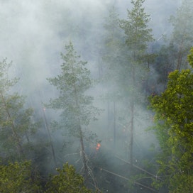 Kreikassa Rodoksen saarella jylläävät massiiviset maastopalot herättävät keskustelua   palontorjunnasta Suomen metsissä.