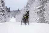 Unto Kärkkäinen ajaa edelleen hevosia lähes päivittäin. Valjaissa on nelivuotiaaksi kääntynyt 14,4-aikainen BWT Gaia, joka tuli talliin viime syksynä Kymenlaakso-ajon karsintojen jäkeen.