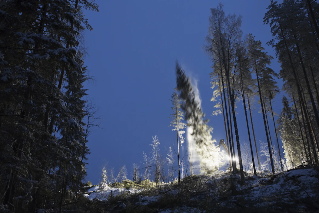 Tutkimus haastaa yleisen käsityksen, jonka mukaan avohakkuuaukot olisivat merkittäviä hiilipäästöjen lähteitä vähintään 10 vuoden ajan hakkuun jälkeen.