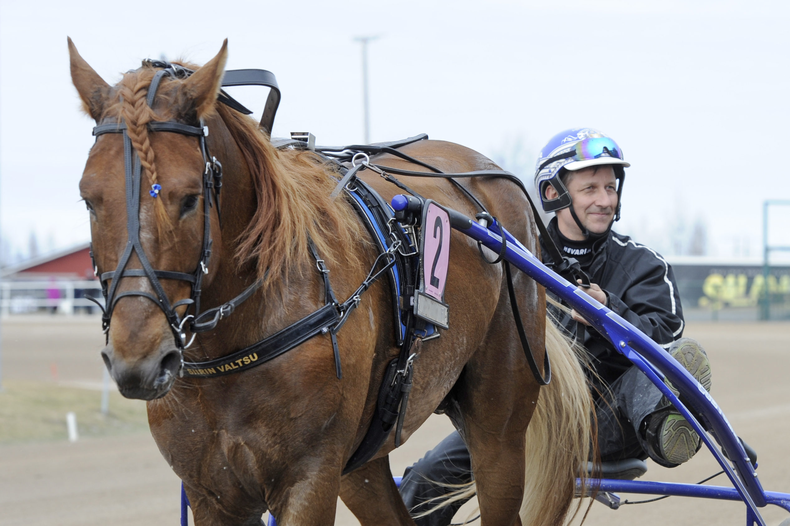 Petri Laineen valmentana Siirin Valtsu on vihjerivin toinen varma.