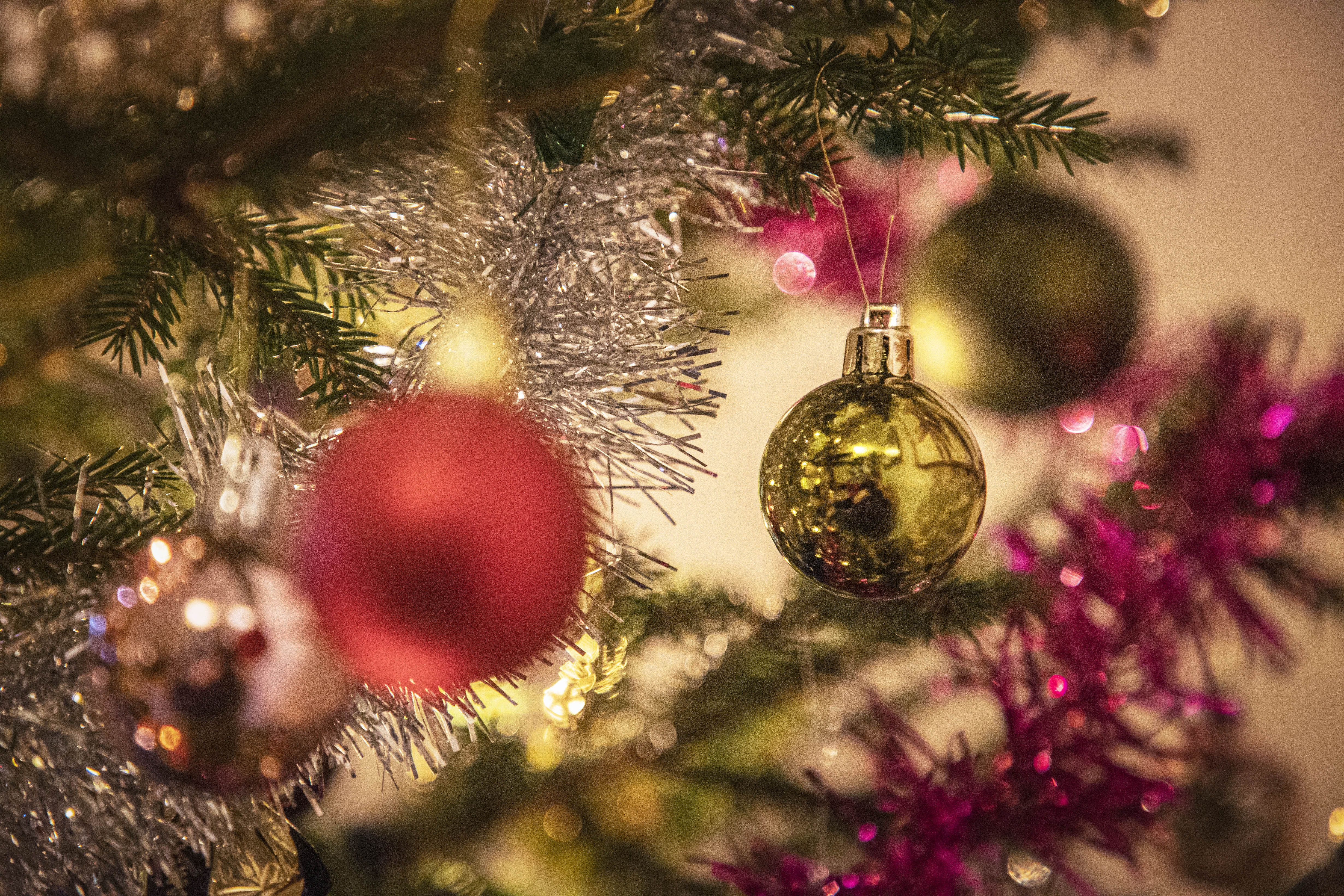 Joka toinen kotitalous valitsee joulupuuksi edelleen perinteisen metsäkuusen.