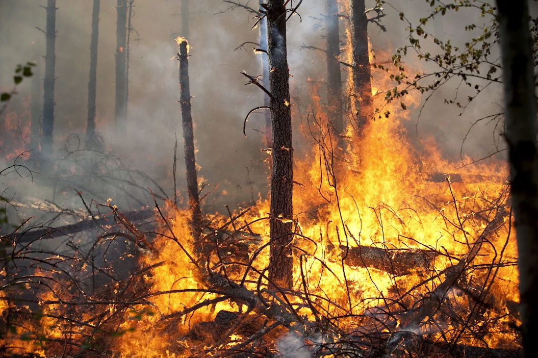 Lämpöennätykset ovat rikkoutuneet maalla ja merellä, voimistuneet sään ääri-ilmiöt ovat lisänneet rajuilmoja, tulvia, kuivuutta ja metsäpaloja, Krista Mikkonen muistuttaa. Kuvituskuva.