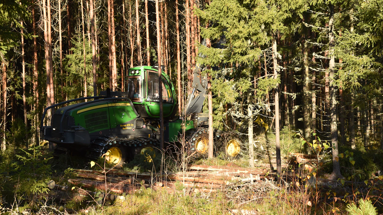 Suomessa metsäkatoasetuksen velvoitteet kohdistuvat pääasiassa puun ostajalle.