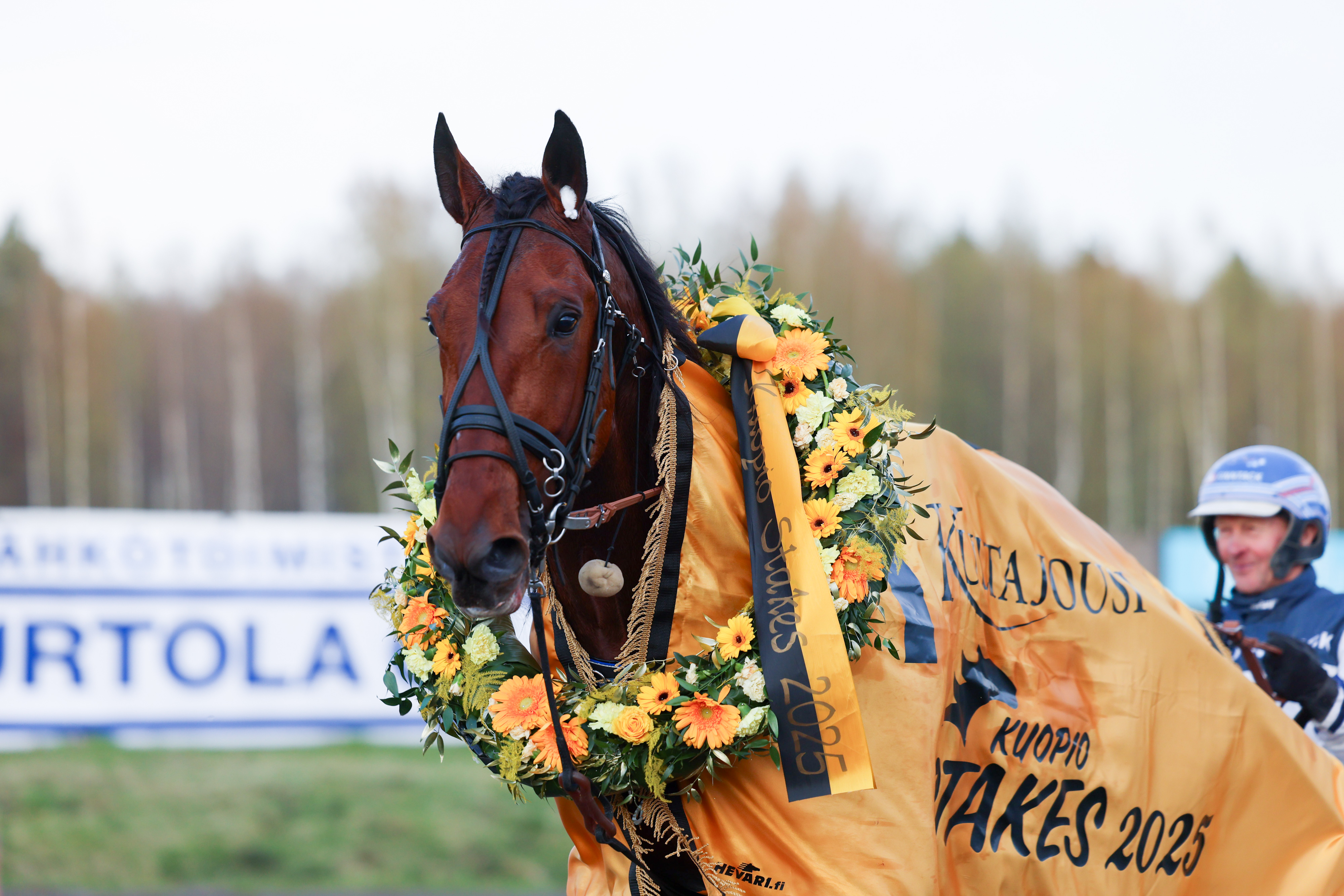 Arctic Emerald oli Kuopio Stakesin paras. Pekka Korpi vastasi ohjastuksesta.