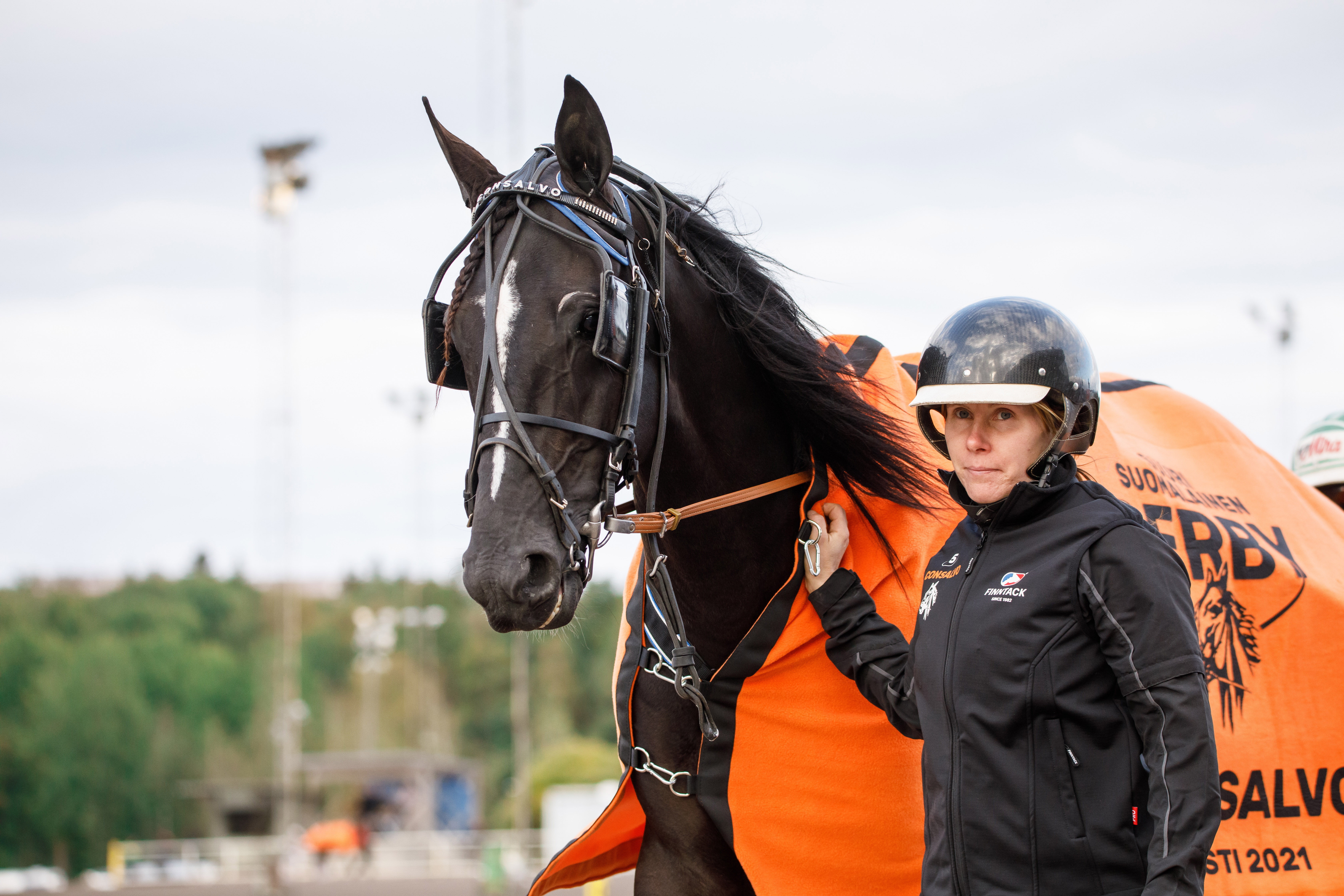 Consalvo on yksi Suvi Himangan tämän hetken menestyneimmistä hoitohevosista.
