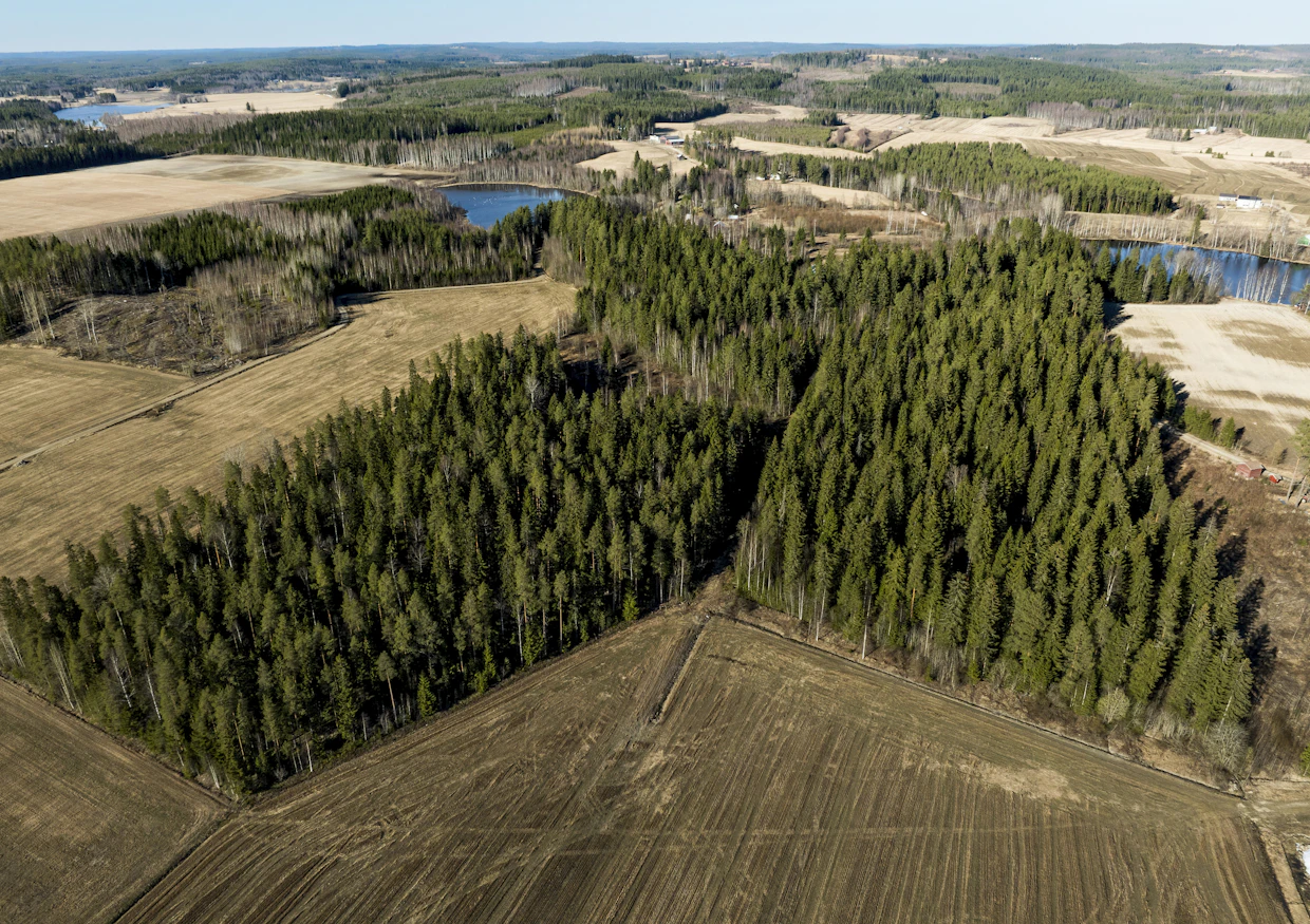 Muu kasvinviljely on nykyään yleisin maatilojen tuotantosuunta.
