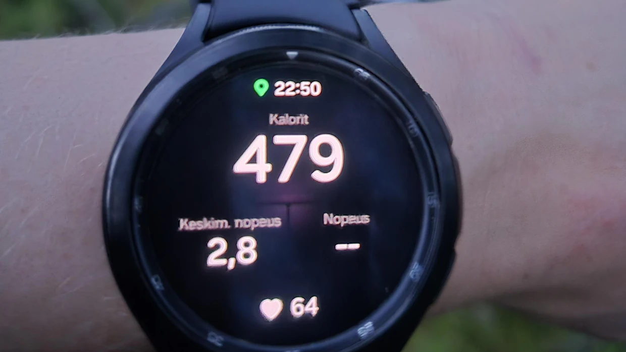 Omalle marjastusreissulleni lähtö venyi myöhään. Harjoituksen päätyttyä jäin vielä hetkeksi ihmettelemään metsään.