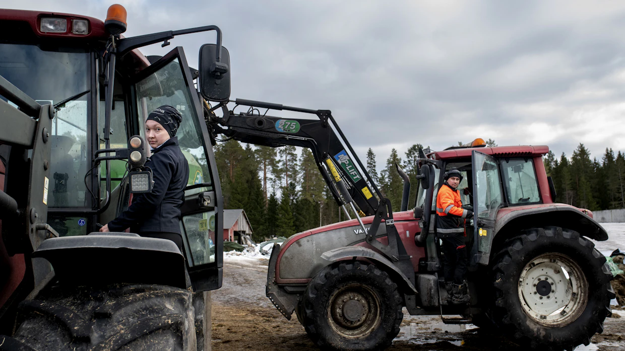Kaupan keskusliikkeet tekevät valtavia tuloksia, ruokateollisuus saa kulut katettua, mutta alkutuotannolla on taas yksi vaikea vuosi edessään, sanovat Markus ja Niina Kivelä, jotka lähtevät tänään aamutuimaan Ylivieskaan MTK:n järjestämälle ruokamarssille.