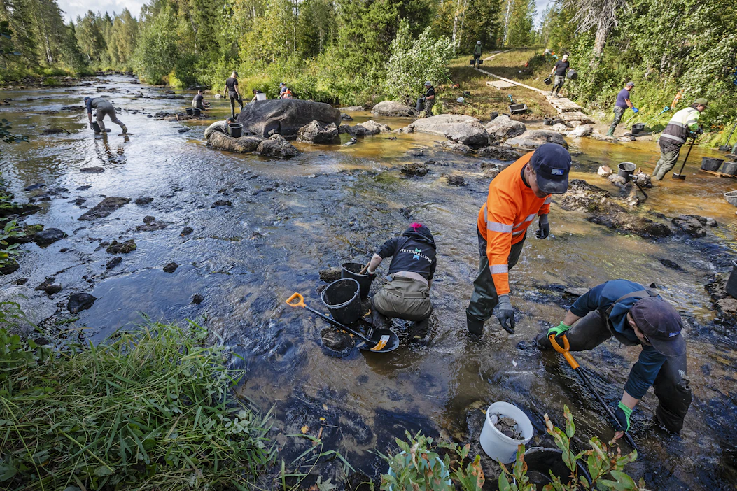 Stora Enson puunkorjuu aiheutti laajan raakkutuhon Suomussalmen Hukkajoella vuoden 2024 syksyllä.