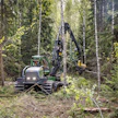 Ennallistamisen vaikutukset metsäalalle ja työllisyyteen voivat nousta miljardiin euroon vuodessa.