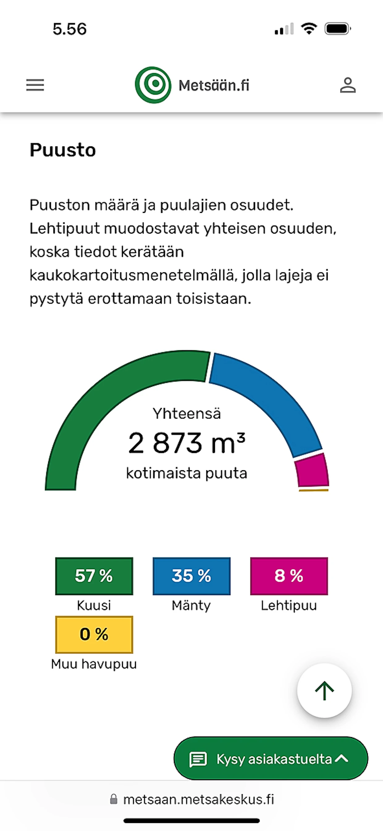 Tämän metsän valtapuu on kuusi. Laserkeilausmenetelmä ei osaa erotella eri lehtipuulajeja, joten ne ilmoitetaan yhdessä.