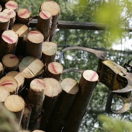 Suomalaiset ovat osanneet hoitaa metsiään menestyksekkäästi jo vuosisatoja.