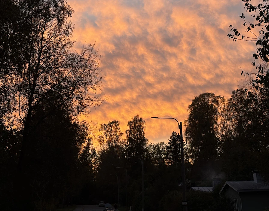 Ohikiitävää maisemaa tuijottaessani saan pari ideaa.