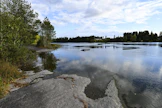 Matolaji löydettiin Kouvolasta Mäkikylän jätevedenpuhdistamon alapuolelta syksyllä 2024 otetusta pohjaeläinnäytteestä. Kuvassa Kymijokea Kouvolan Korialla. LEHTIKUVA / Mikko Stig. 