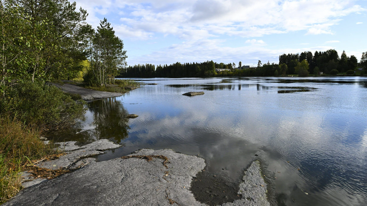 Matolaji löydettiin Kouvolasta Mäkikylän jätevedenpuhdistamon alapuolelta syksyllä 2024 otetusta pohjaeläinnäytteestä. Kuvassa Kymijokea Kouvolan Korialla. LEHTIKUVA / Mikko Stig.