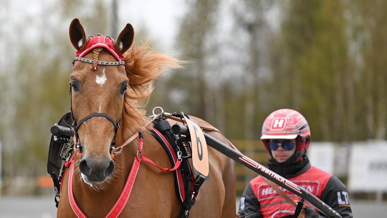 Jockas Rita on hallitseva ravikuningatar ja vuoden hevonen.