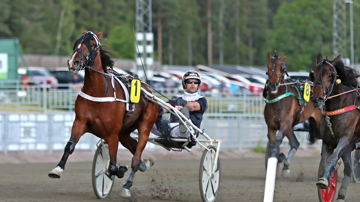 Solvallassa ravataan Kriterium- ja Oaks-karsinnat sunnuntaina. Mika Forssin ohjastama Kobra Brick on yksi finaalipaikan tavoittelijoista.