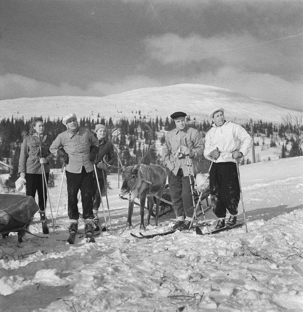Turisteja Lapin hangilla 1950-luvun alussa.