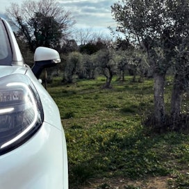 Ford on tutkinut oliivin korjuussa syntyvän puujätteen käyttöä autonosien valmistukseen.