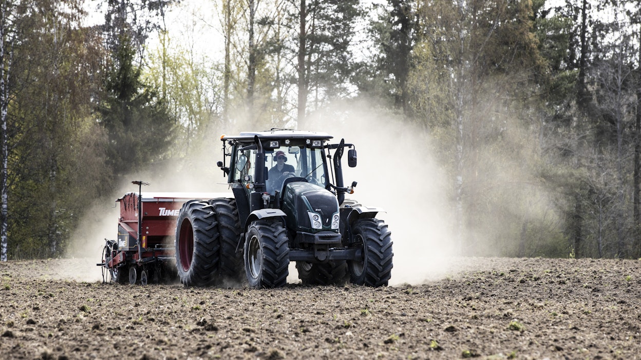 Kaurankylvöä toukokuussa 2025.