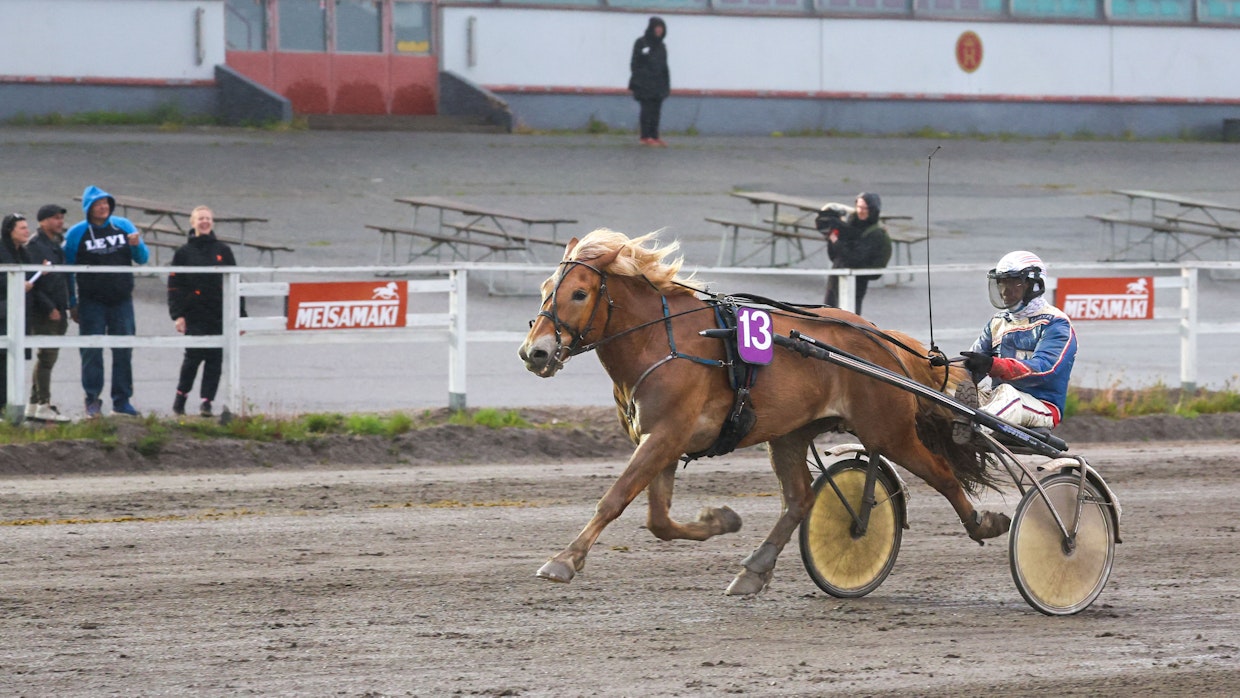 Toukokuun lopussa Voima-Simo voitti Tuomo Ojanperän ohjastamana Voimaeläincupin finaalin Turussa.