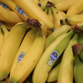 Banaania tuodaan vuosittain Suomen satamiin reilut 110 tuhatta tonnia.