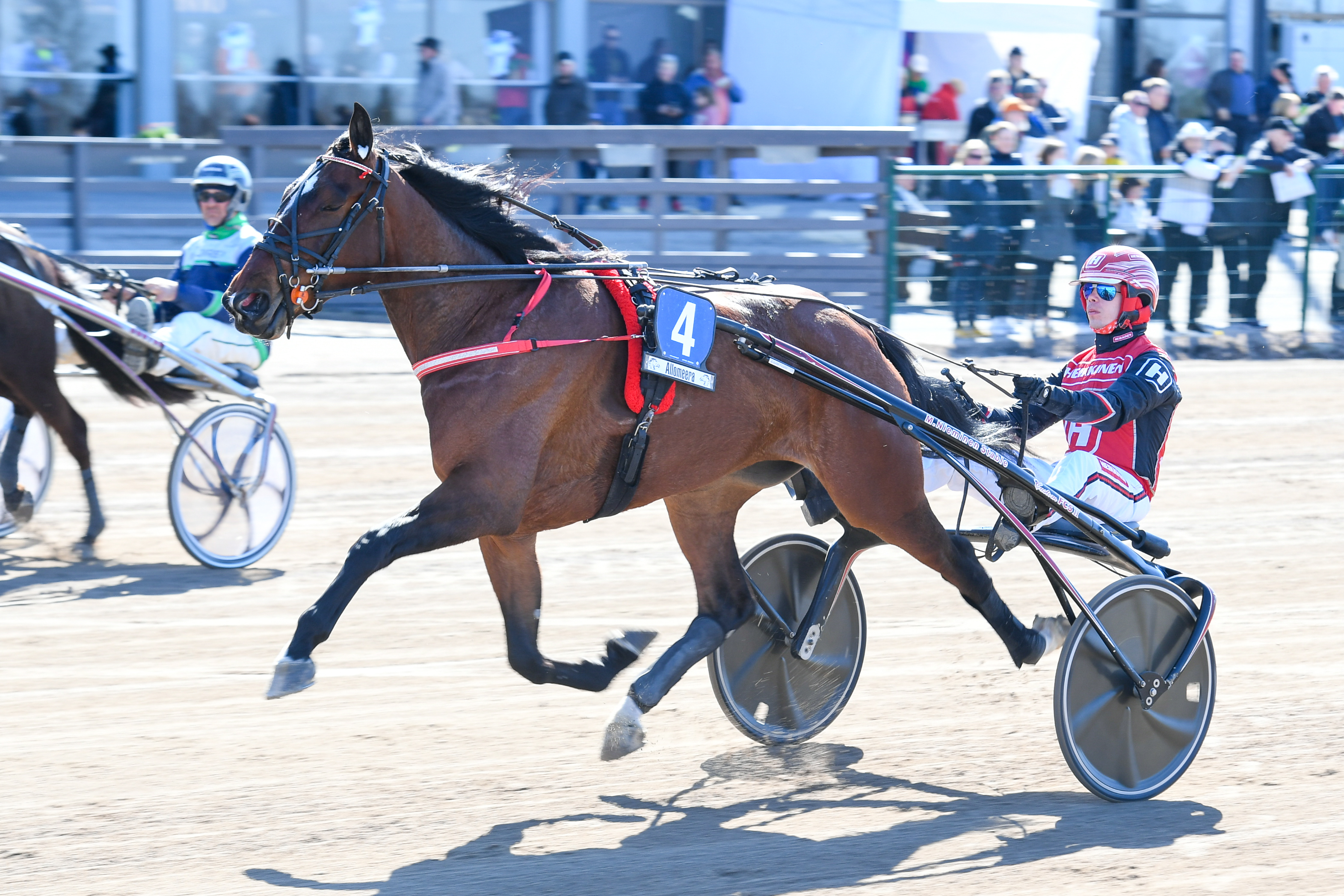 Kriteriumin finaalissa toiseksi sijoittunut ja viime syksynä Derbyn finaalissakin mukana ollutta Halley Waniaa ei nähdä vähään aikaan kilparadoilla.