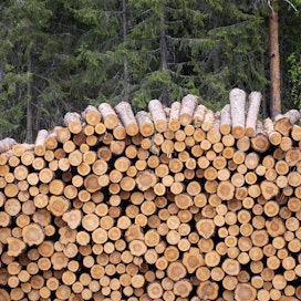 Puusta saatavaa arvonlisää voitaisiin nostaa muun muassa tekemällä puusta arvokkaampia tuotteita. 