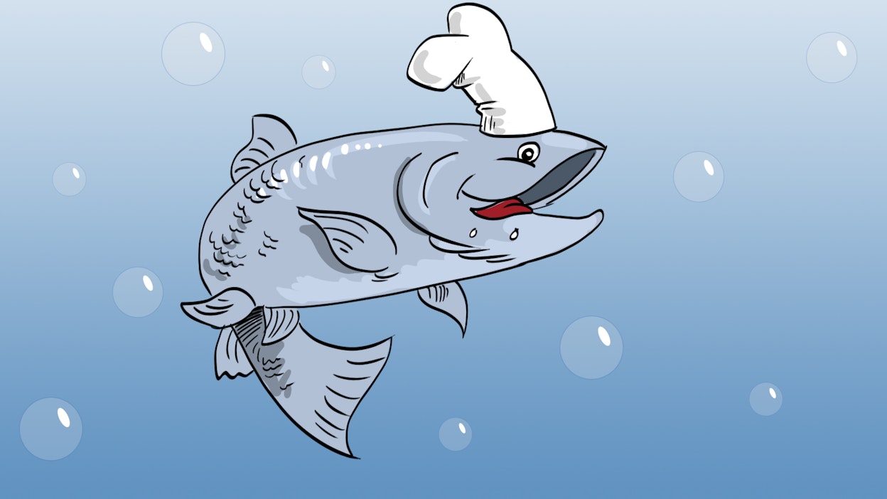 Lohi on hyvää ja terveellistä, kuten kalaruoka yleensäkin.