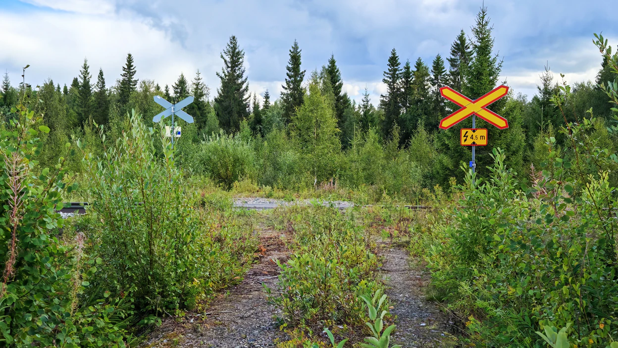 Metsätien pientareet vesakoituvat jo muutamassa vuodessa, jolloin näkyvyys tasoristeykseen heikkenee.