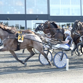 Kuvassa From the Minen voittoon ohjastava Magnus A Djuse sekä isoveli Mats E Djuse ovat ajaneet suurimman osan hevosen starteista.
