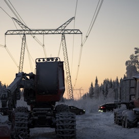Metsäkoneet seisovat pakkasessa Torniossa, sillä säiliöön jäätynyt urea sotkee koneiden tietotekniikan.