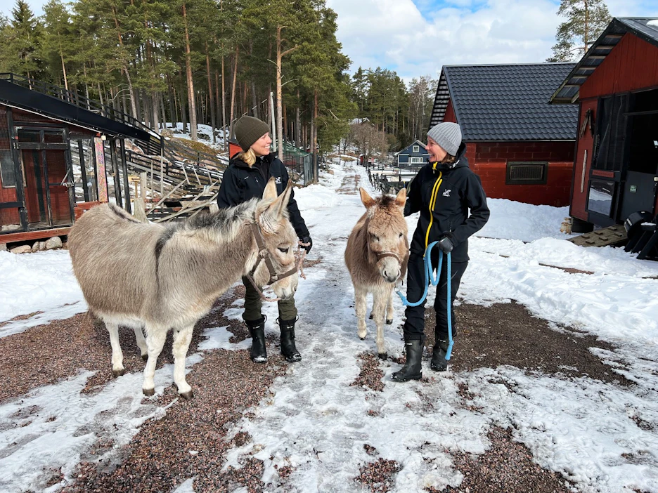 Sanna Enckelman (vas.) ja Satu von Schalien pitävät kotieläinpihaa Kirkkonummella.
