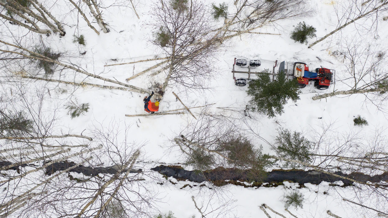 Yksikin iso puukauppa vie metsänomistajan yli alv-velvollisuuden ylittävän rajan. Alv-velvolliseksi voi hakeutua myös vapaaehtoisesti.