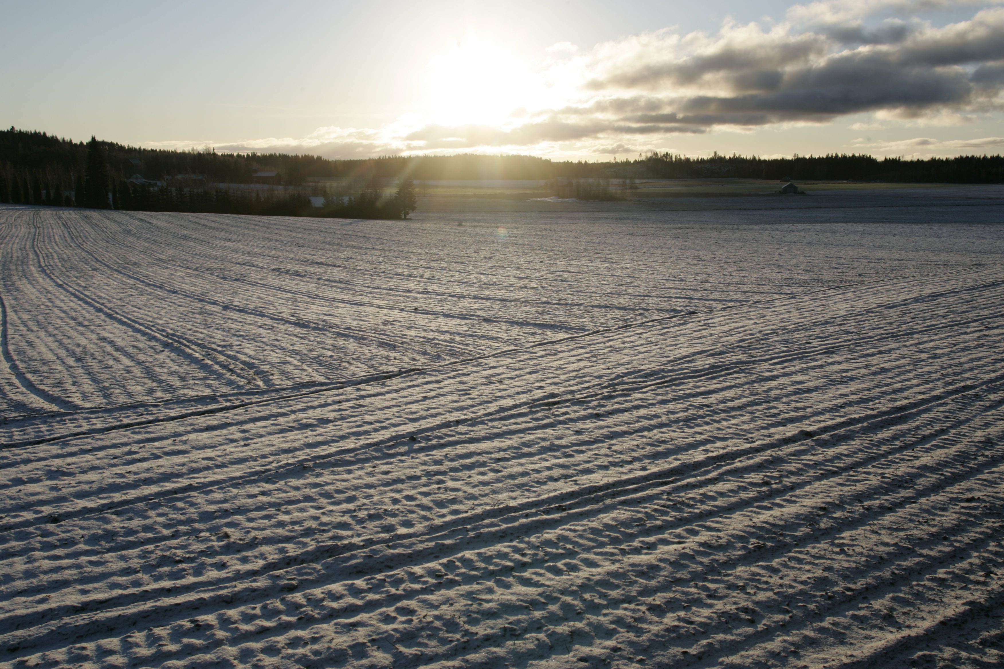 Alkuviikosta on tulossa aurinkoinen.