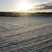 Alkuviikosta on tulossa aurinkoinen.