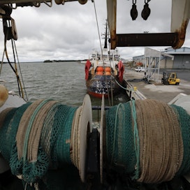 Silakan kalastus on merkittävä elinkeino Pohjanlahden rannikolla. Ympäristövaliokunnan mukaan sen kieltämisen sosiekonomiset vaikutukset olisivat suuret.