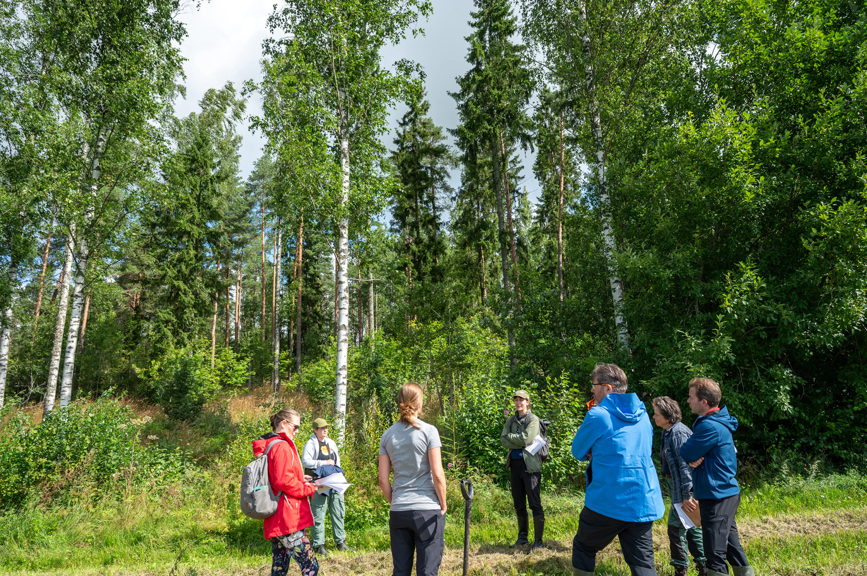 Ei mikä tahansa ”pöheikkö”, vaan tarkoin mietitty ja toteutettu monimuotoisuustoimenpide, joka hyödyttää pellon ja metsän lajistoa.