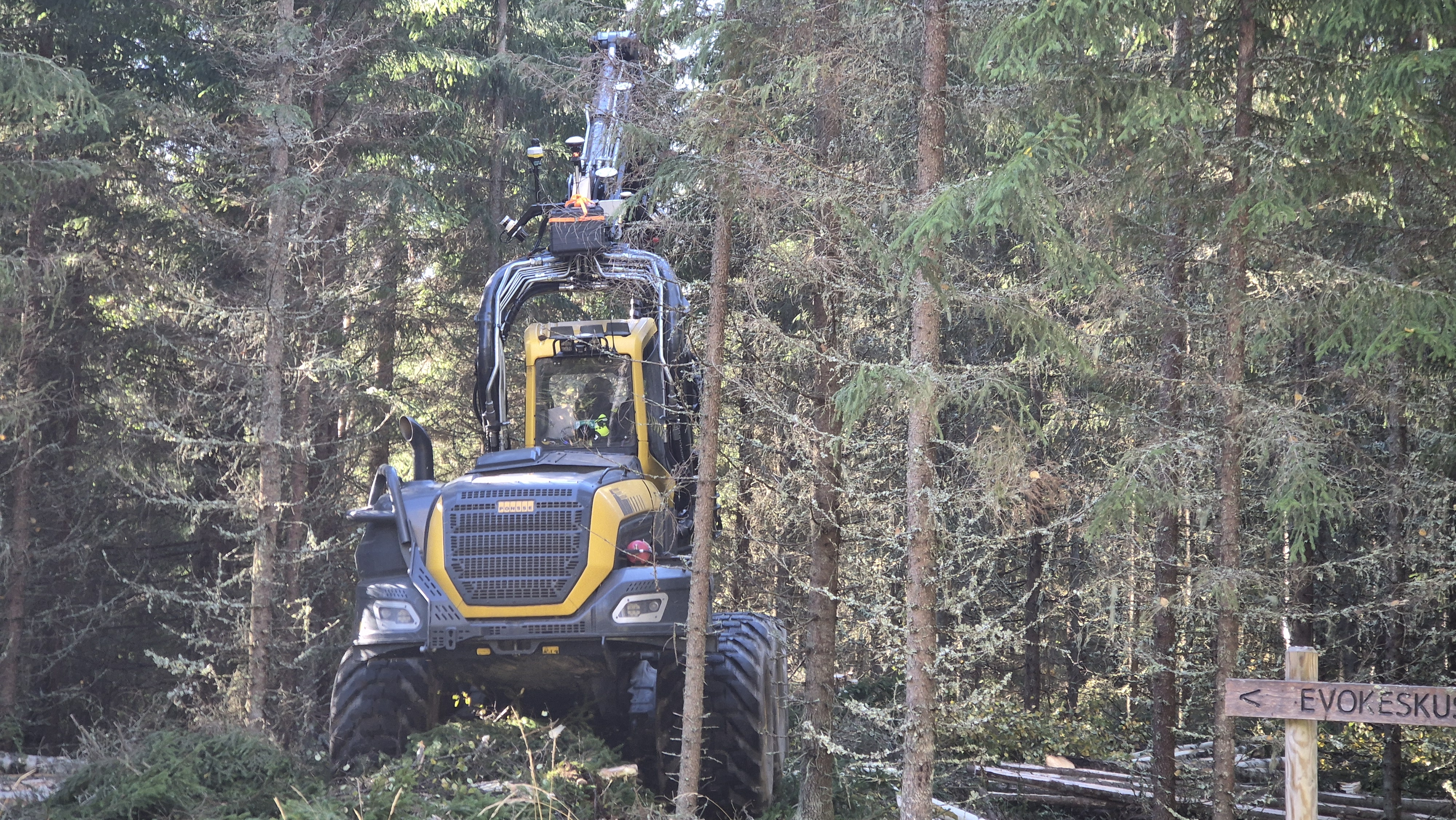 Kameroilla ja laserkeilaimilla saadaan kerätyksi arvokasta tietoa samaan aikaan, kun metsässä tehdään tavanomaista hakkuutyötä. Sensorit joutuvat savotalla harvinaisen koville, joten tuotekehityksessä riittää työtä niin sanotun kylmän raudankin puolella.