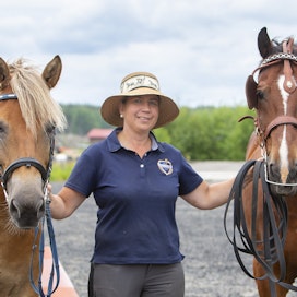 Vuodet aivovamman kanssa saivat Heidi Sindan lopulta niin uupuneeksi, että nyt on viimeinenkin oma hevonen lähtenyt Hessi-tallilta. Arkistokuvassa hän on Hessin Uniikin ja Instruktorin kanssa kesällä 2022.