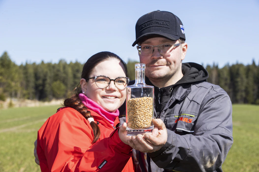 Kaiho-vodkan raaka-aine on Katri ja Janne Koiviston tilalla Vahdolla kasvatettu luomusyysvehnä. Sen viljelyä haastavat kuivat kesät, joita Varsinais-Suomessa on takana jo useampi. ”Vanhan sanonnan mukaan kuiva vuosi ei ole koskaan katovuosi, mutta luomussa se ei ihan täysin pidä paikkansa”, toteaa Janne Koivisto.