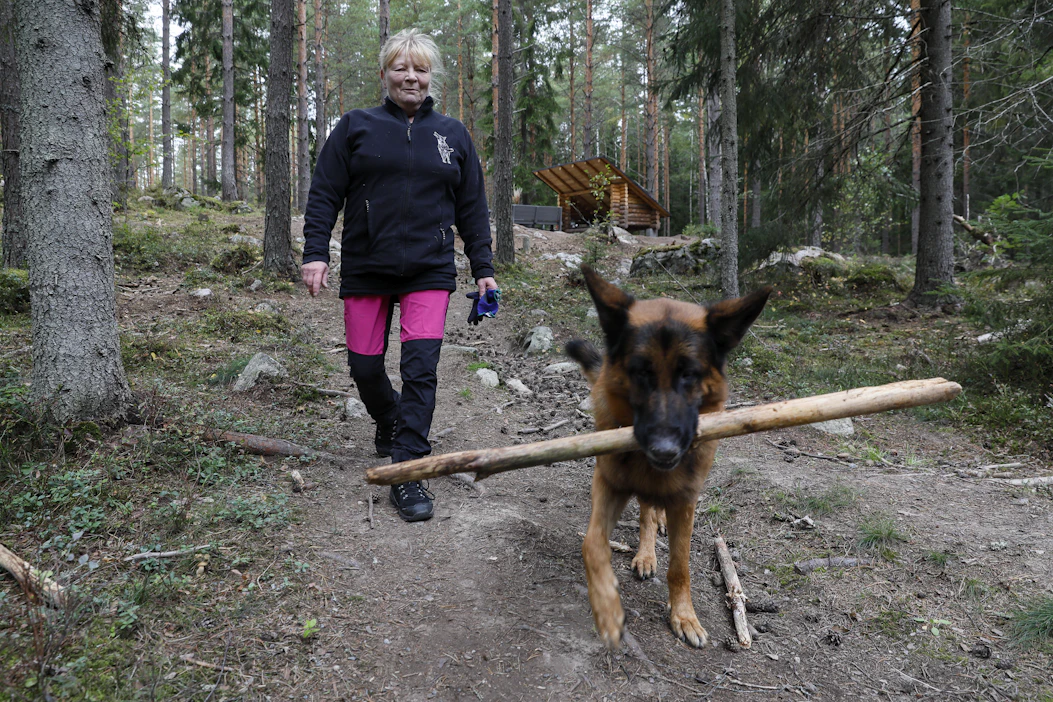 Jutta Översti perusti Koirametsä Seesteisen omille mailleen Nousiaisiin toukokuussa 2021. Pehtoorina toimii saksanpaimenkoira Tuure.