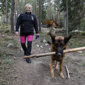 Jutta Översti perusti Koirametsä Seesteisen omille mailleen Nousiaisiin toukokuussa 2021. Pehtoorina toimii saksanpaimenkoira Tuure.