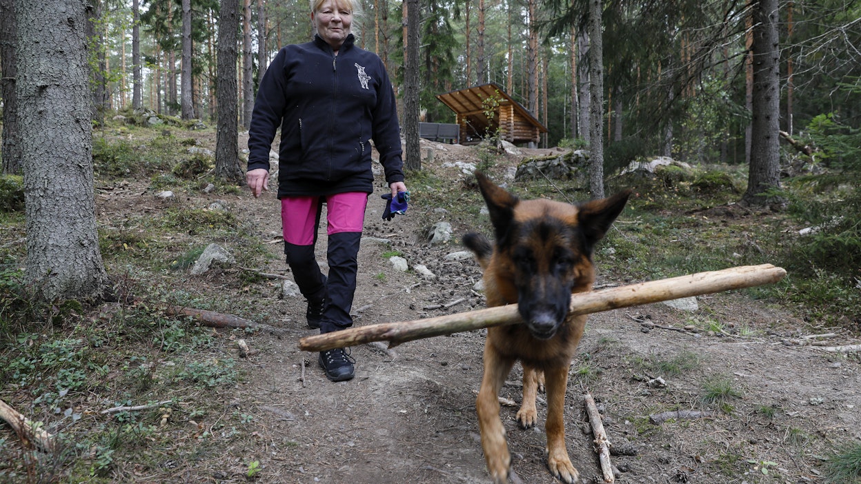 Jutta Översti perusti Koirametsä Seesteisen omille mailleen Nousiaisiin toukokuussa 2021. Pehtoorina toimii saksanpaimenkoira Tuure.