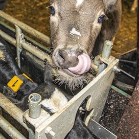 Karjatilojen lisäksi vesihuolto on kriittinen tekijä tuotannon kannalta muillakin tuotantoeläintiloilla.