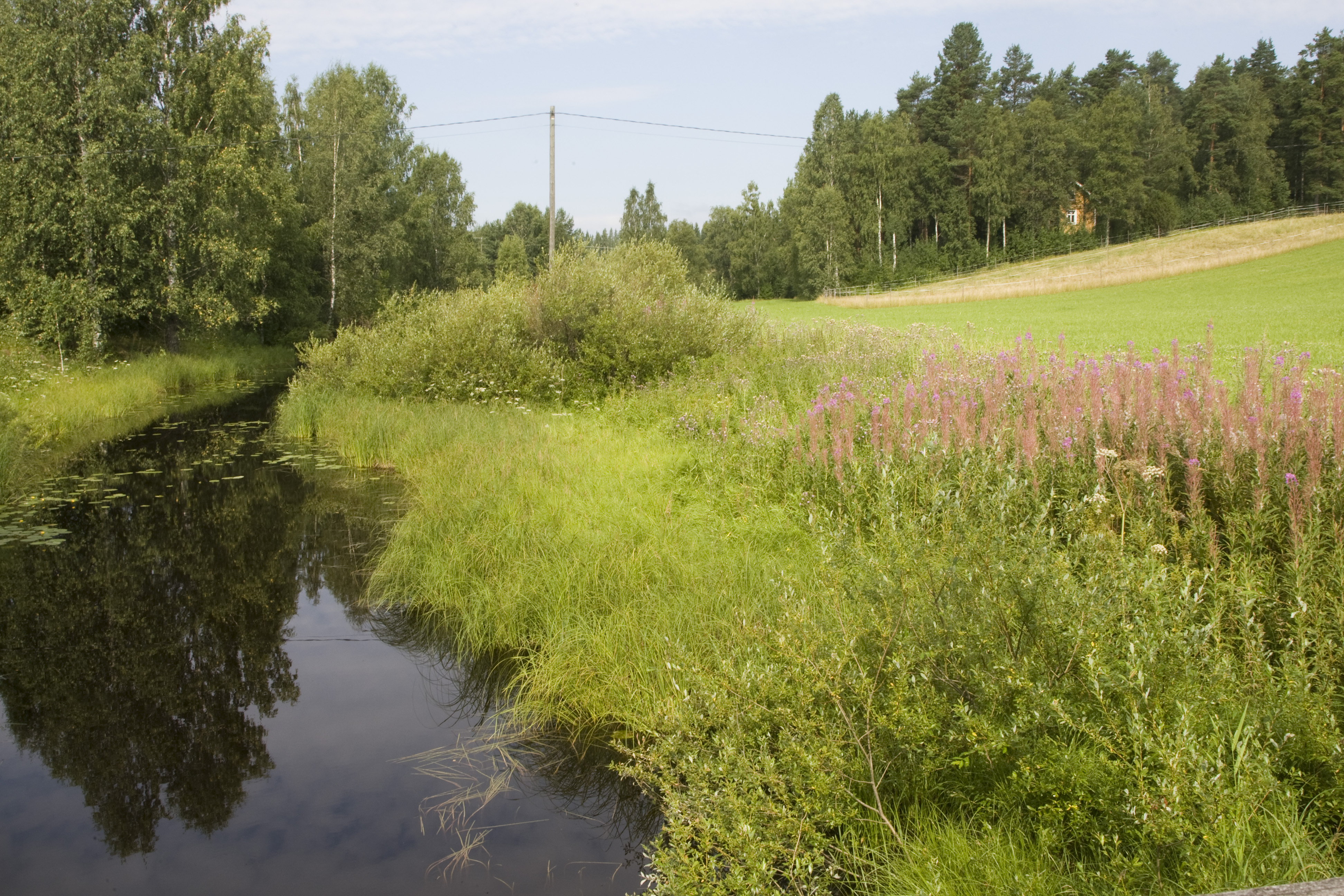 Monimuotoista maatalousympäristöä. Kuvituskuva.