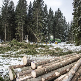 Marraskuussa metsistä korjattiin enemmän tukkia kuin kuitupuuta.