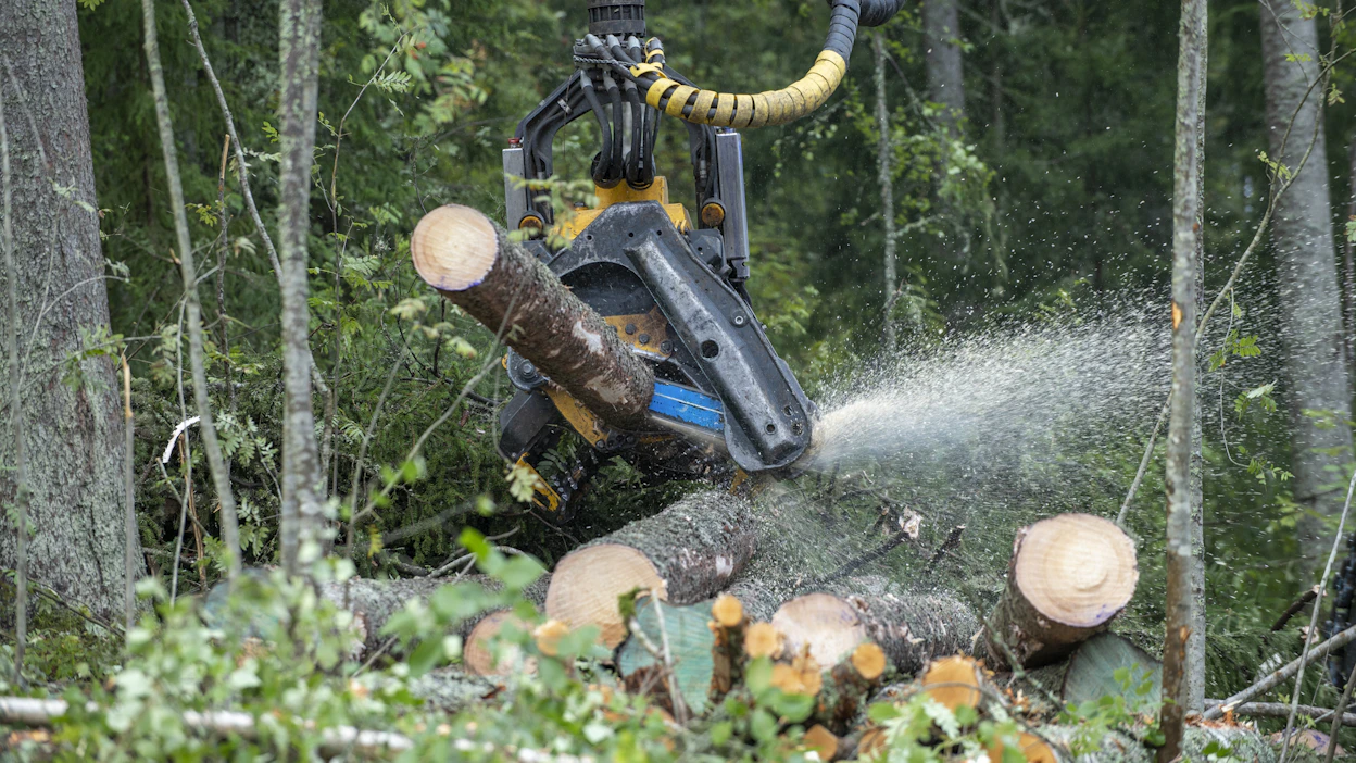Tammi‒heinäkuussa teollisuuspuuta hakattiin yhteensä 33,9 miljoonaa kuutiometriä. Määrä on viisi prosenttia vuodentakaista pienempi.